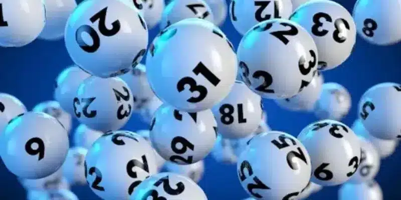 玩36码投注法-开云体育